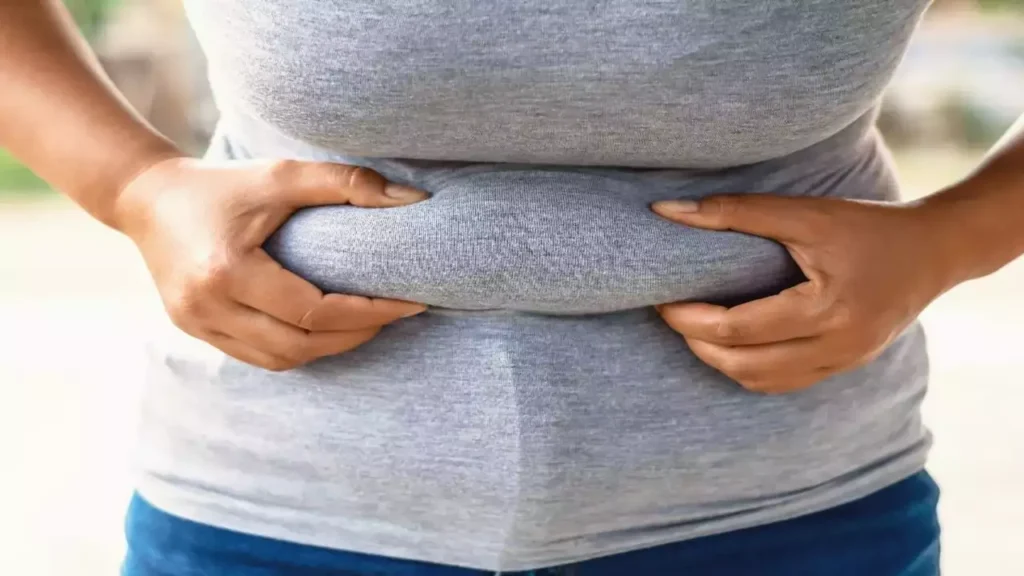 Why Do We Struggle with Stubborn Fat Despite Healthy Habits Sandwich
