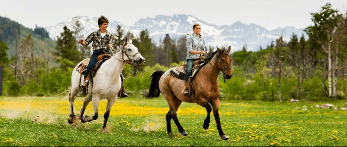 Confident plus-size woman riding Sandwich a horse through a field with a smile on her face.