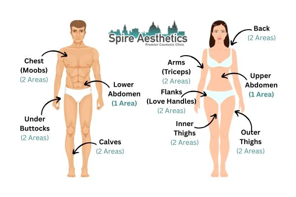 Cryolipolysis Prices Sandwich